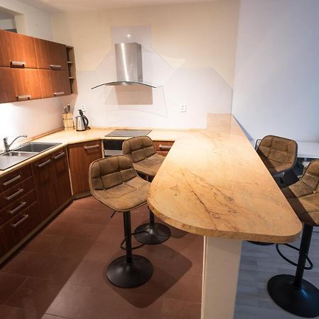 Apartment Vodni With Parking Brno Extérieur photo