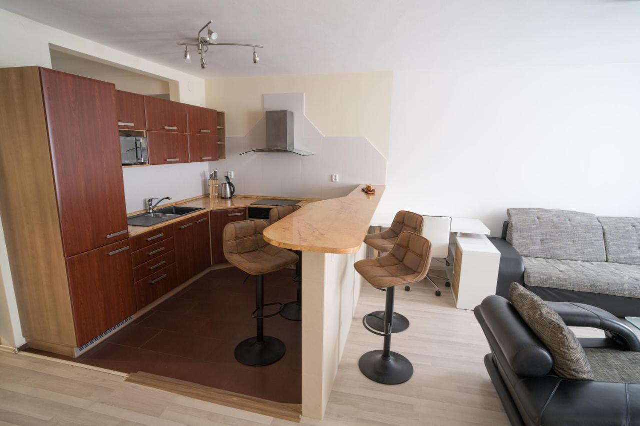 Apartment Vodni With Parking Brno Extérieur photo
